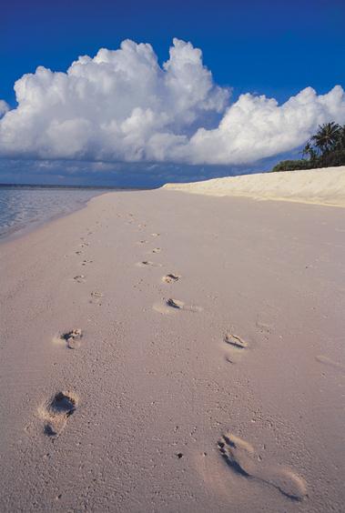 Best Beaches in the Maldives - Seven Holidays Best Beaches in the Maldives - Seven Holidays