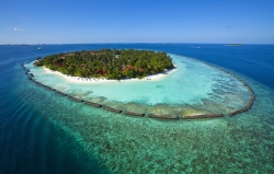 Kurumba