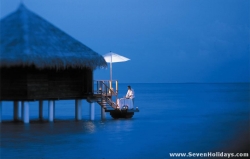 Taj Exotica